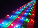 Foton | LT 30-S5050-RGB (3 led in chip) 120*, DC-12v, 7.2w/m, 2000-3500mcd/led, 30/m 10*5000mmSelf